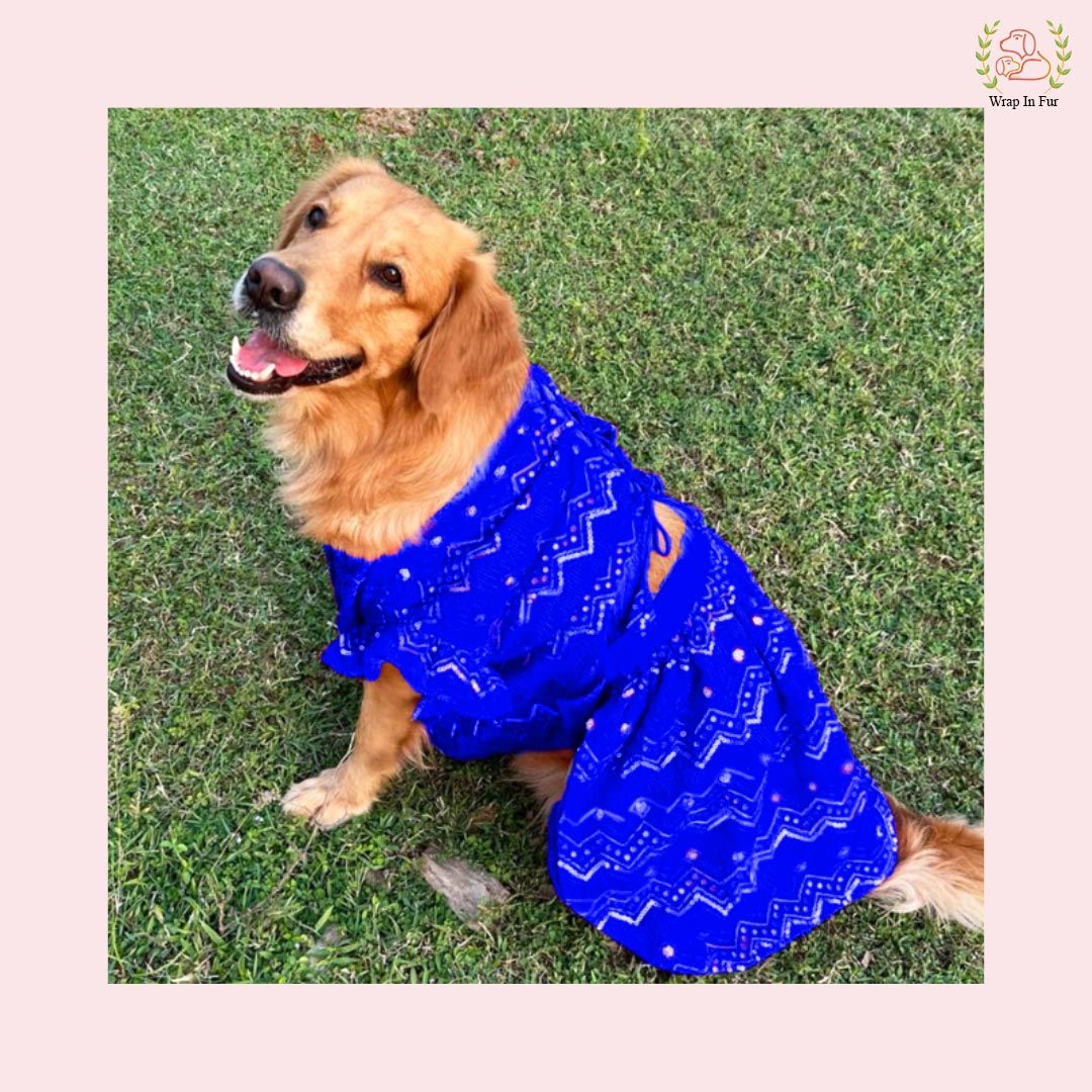 Royal Blue Dog Wedding Dress – Ethnic Lehenga Choli for Dogs