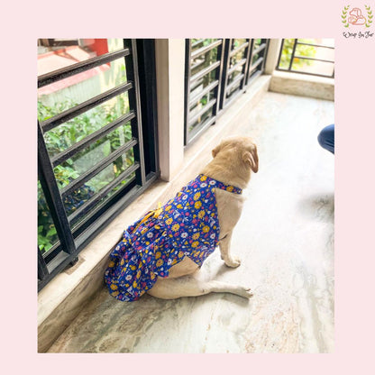 Royal Blue Floral Dog Princess Dress - Yellow Cold Shoulder Frock