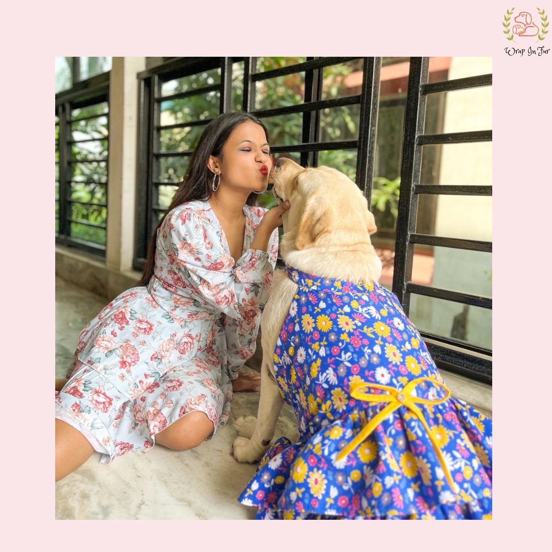 Royal Blue Floral Dog Princess Dress - Yellow Cold Shoulder Frock