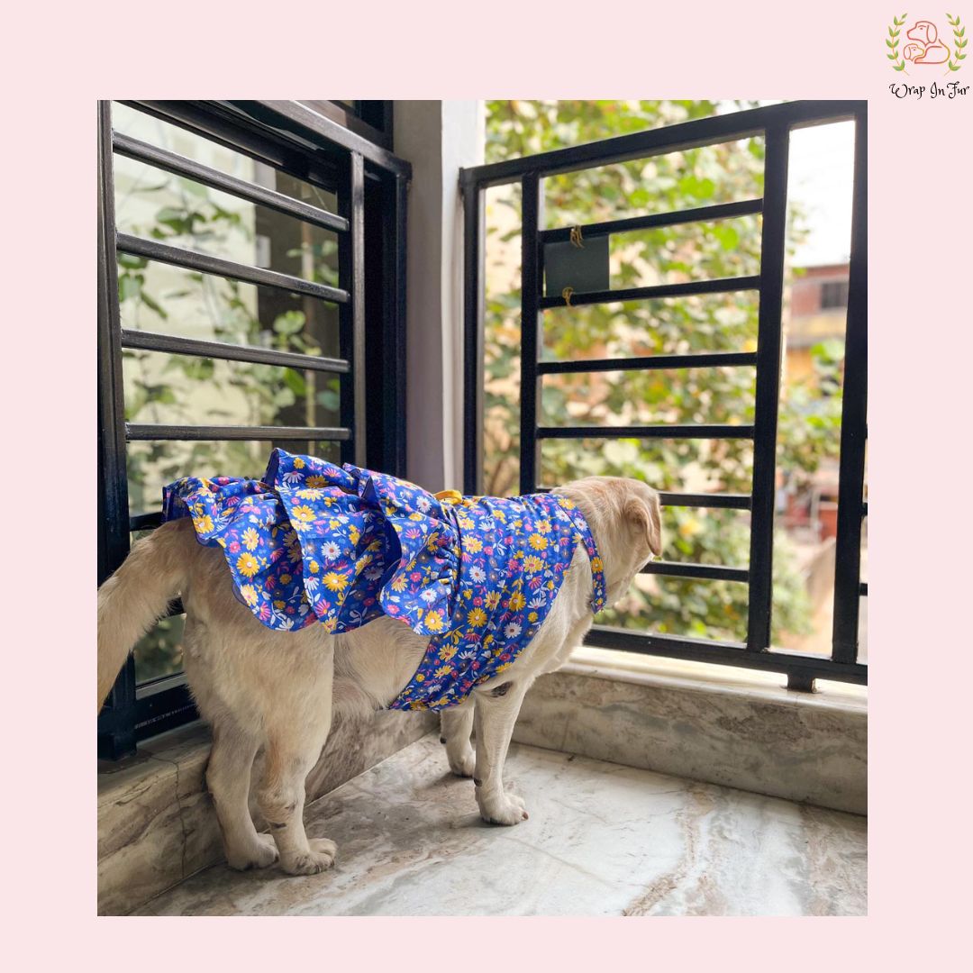 Royal Blue Floral Dog Princess Dress - Yellow Cold Shoulder Frock