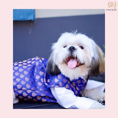 Royal Blue & Gold Brocade Dog Kurta Jacket Set - Indian Dog Ethnic Wear