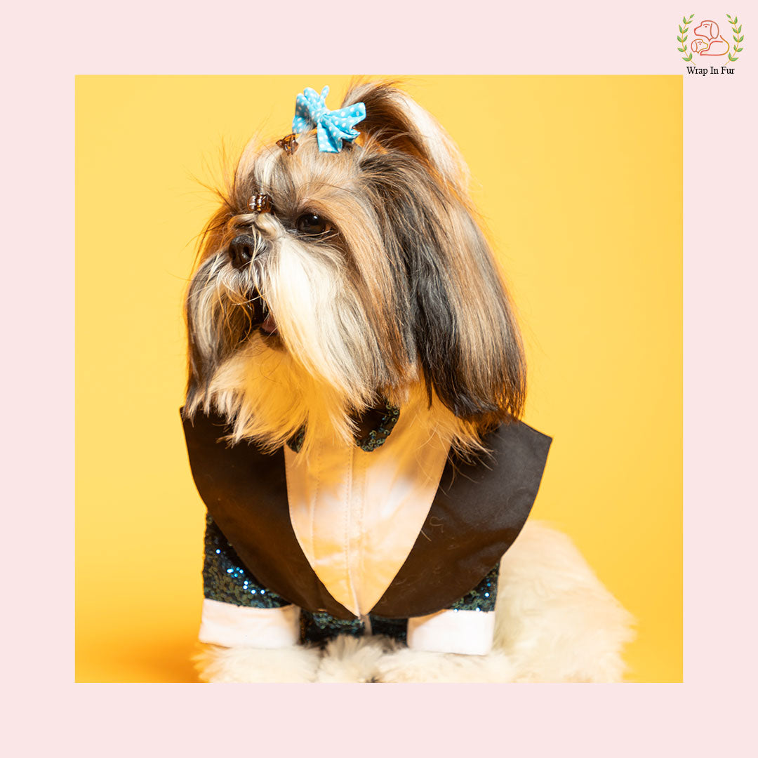 Royal Blue Sequin Dog Tuxedo Jacket - Glamorous Wedding Suit