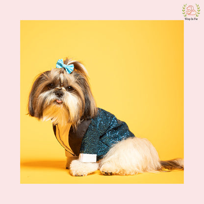 Royal Blue Sequin Dog Tuxedo Jacket - Glamorous Wedding Suit
