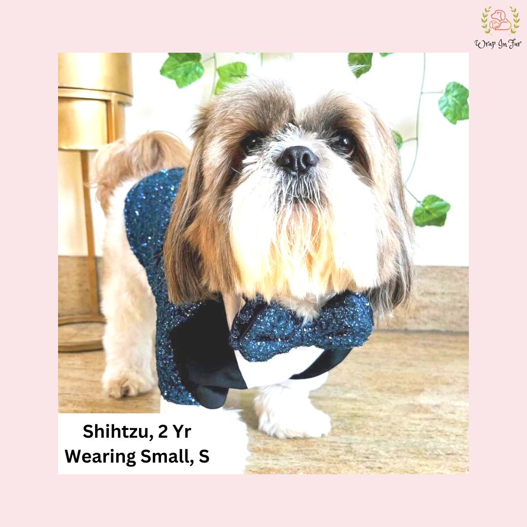 Royal Blue Sequin Dog Tuxedo Jacket - Glamorous Wedding Suit