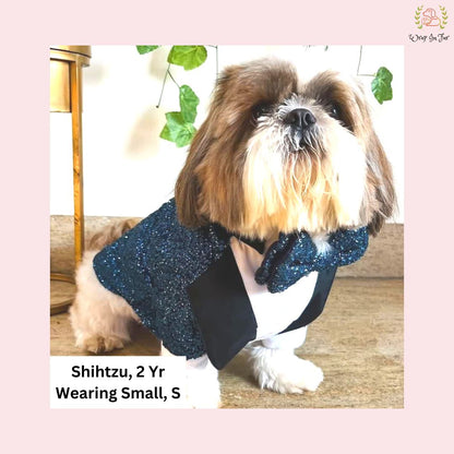 Royal Blue Sequin Dog Tuxedo Jacket - Glamorous Wedding Suit