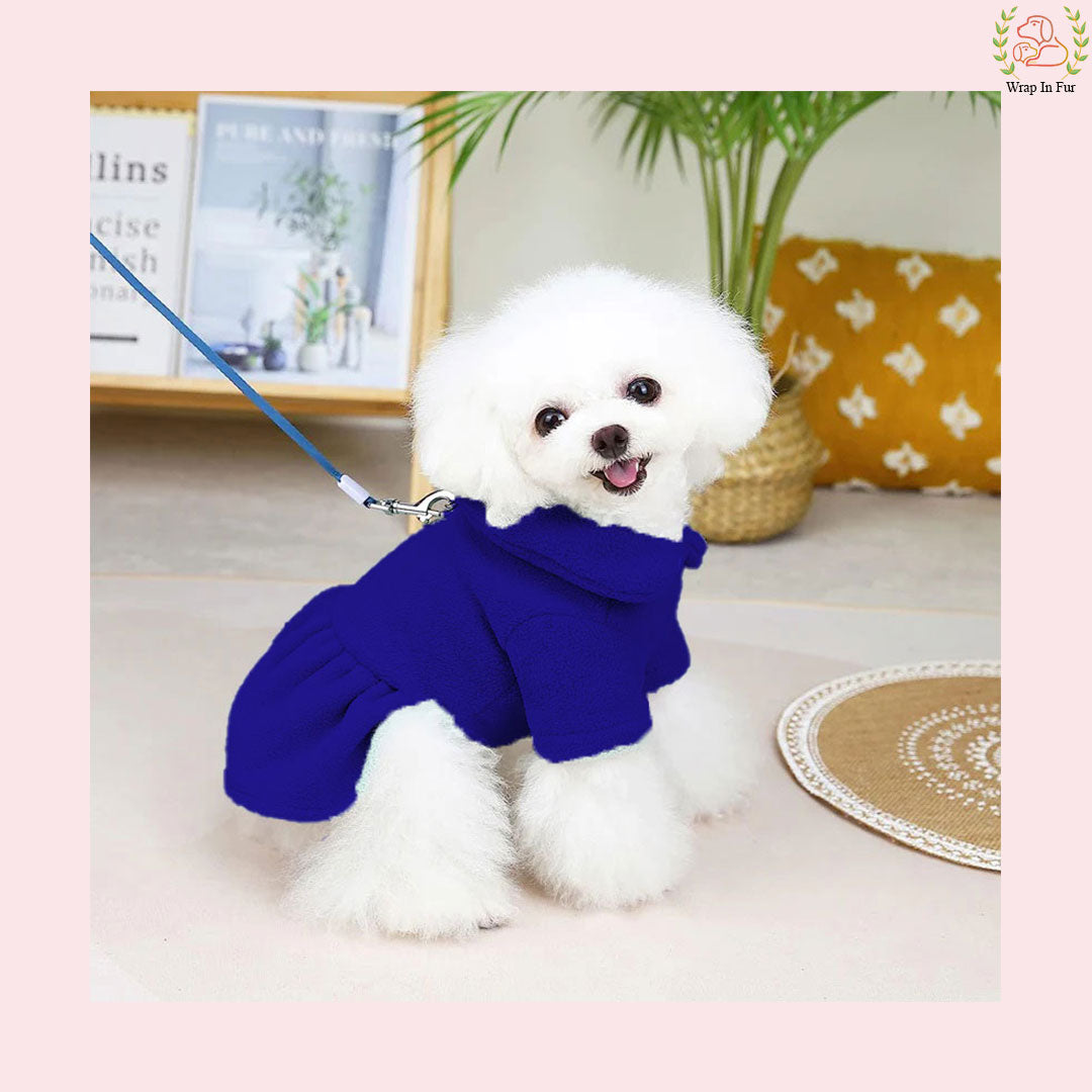 Royal Blue Winter Dog Frock with Scarf – Premium Warm & Stylish Outfit
