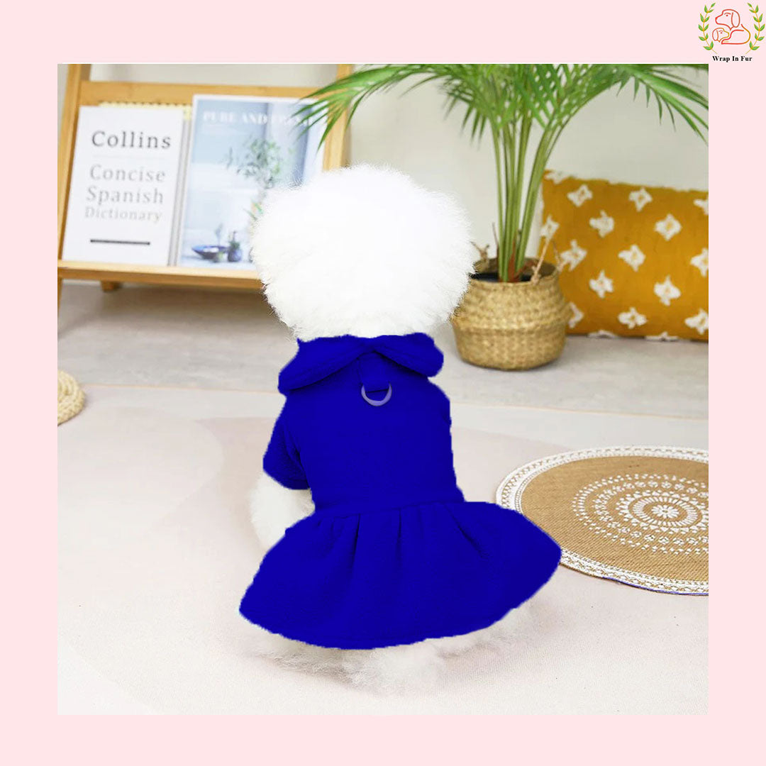 Royal Blue Winter Dog Frock with Scarf – Premium Warm & Stylish Outfit