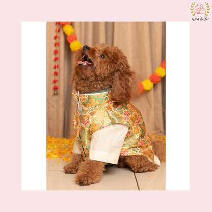 Royal Cream Dog Kurta Set - White & Gold Indian Dog Ethnic Wear Dress