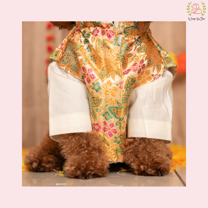 Royal Cream Dog Kurta Set - White & Gold Indian Dog Ethnic Wear Dress