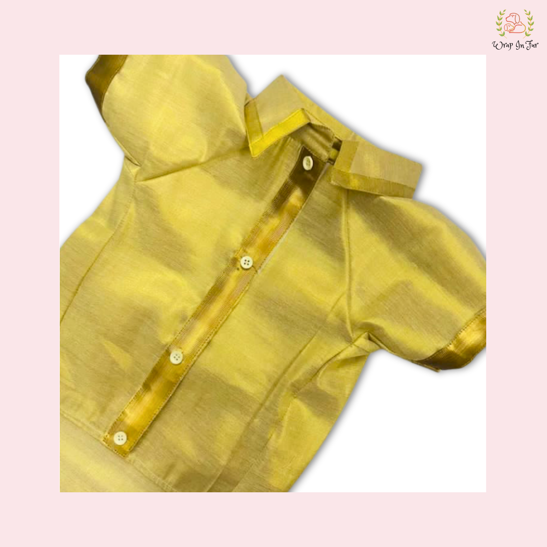 Royal Golden Silk Dog Kurta - Premium Indian Dog Ethnic Wear Dress