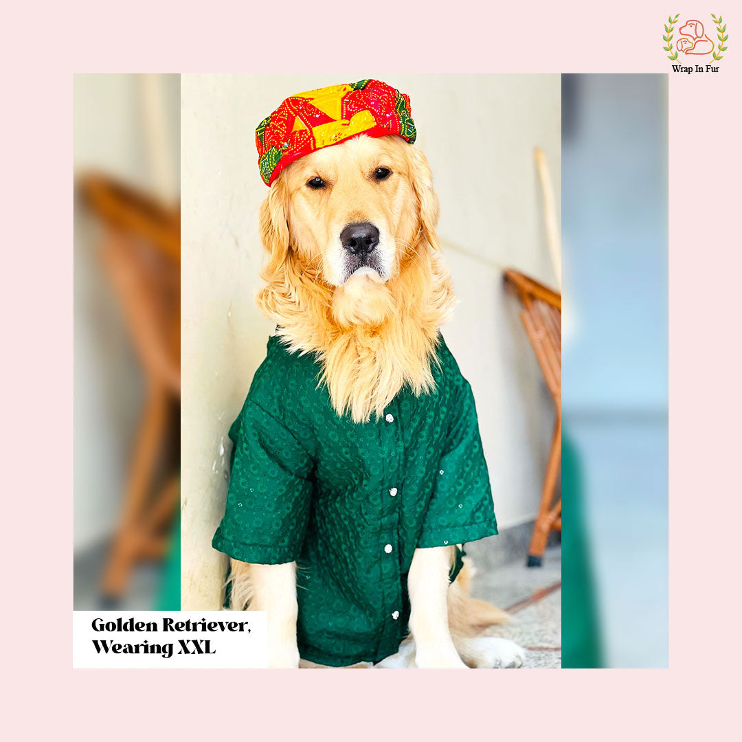 Royal Green Chikankari Dog Kurta - Premium Dog Ethnic Wear