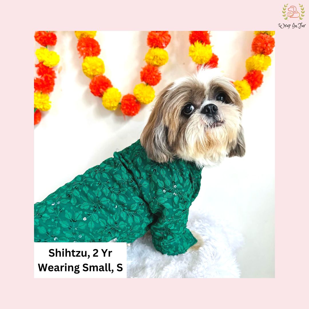 Royal Green Chikankari Dog Kurta - Premium Dog Ethnic Wear