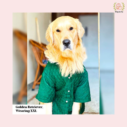 Royal Green Chikankari Dog Kurta - Premium Dog Ethnic Wear
