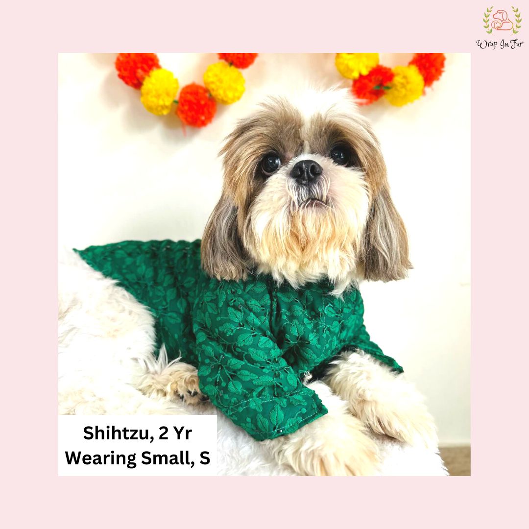 Royal Green Chikankari Dog Kurta - Premium Dog Ethnic Wear