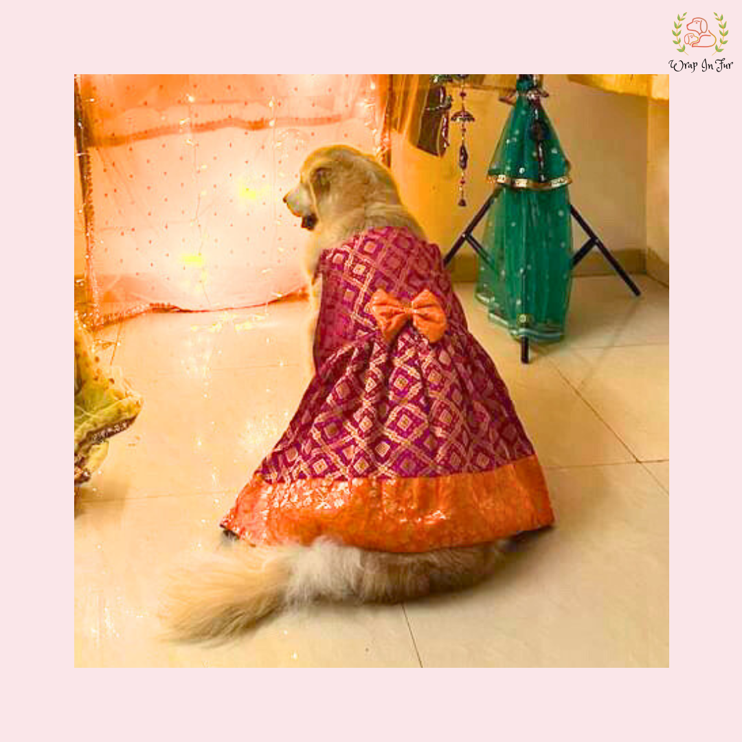 Royal Pink Orange Dog Bride Outfit – Wedding Frock for Dogs