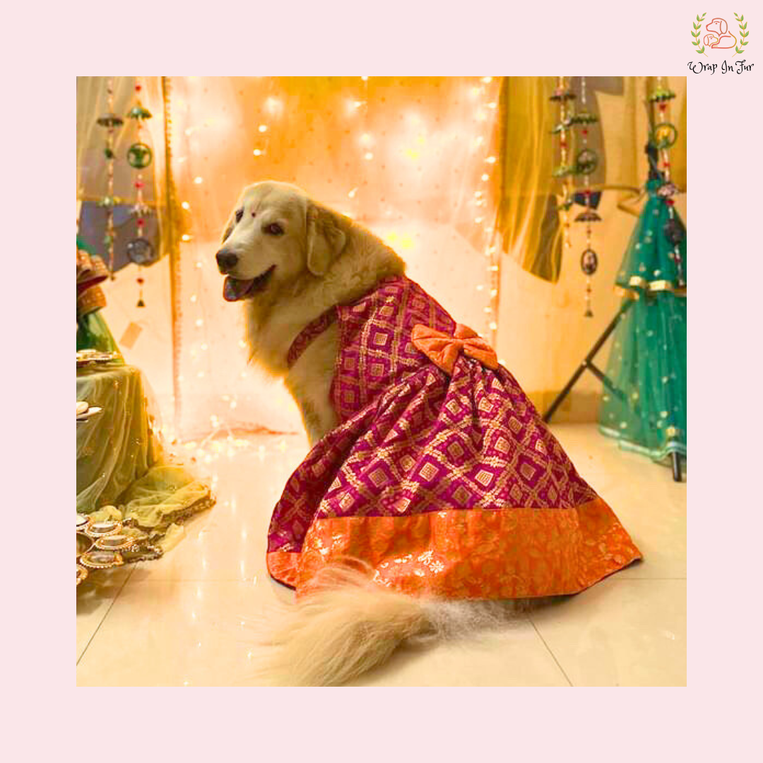 Royal Pink Orange Dog Bride Outfit – Wedding Frock for Dogs