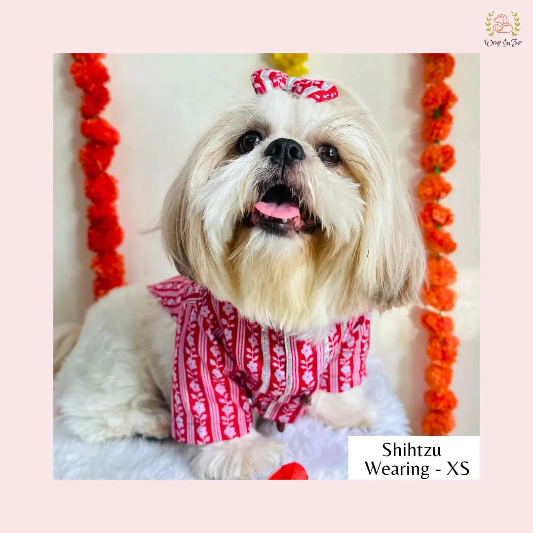 Royal Red Bandhani Dog Kurta - Traditional Indian Dog Ethnic Wear