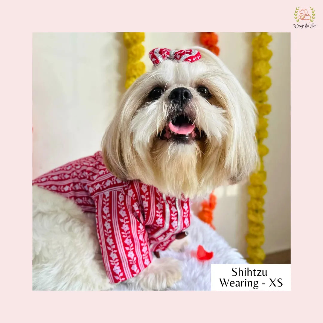 Royal Red Bandhani Dog Kurta - Traditional Indian Dog Ethnic Wear