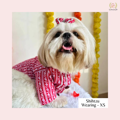 Royal Red Bandhani Dog Kurta - Traditional Indian Dog Ethnic Wear