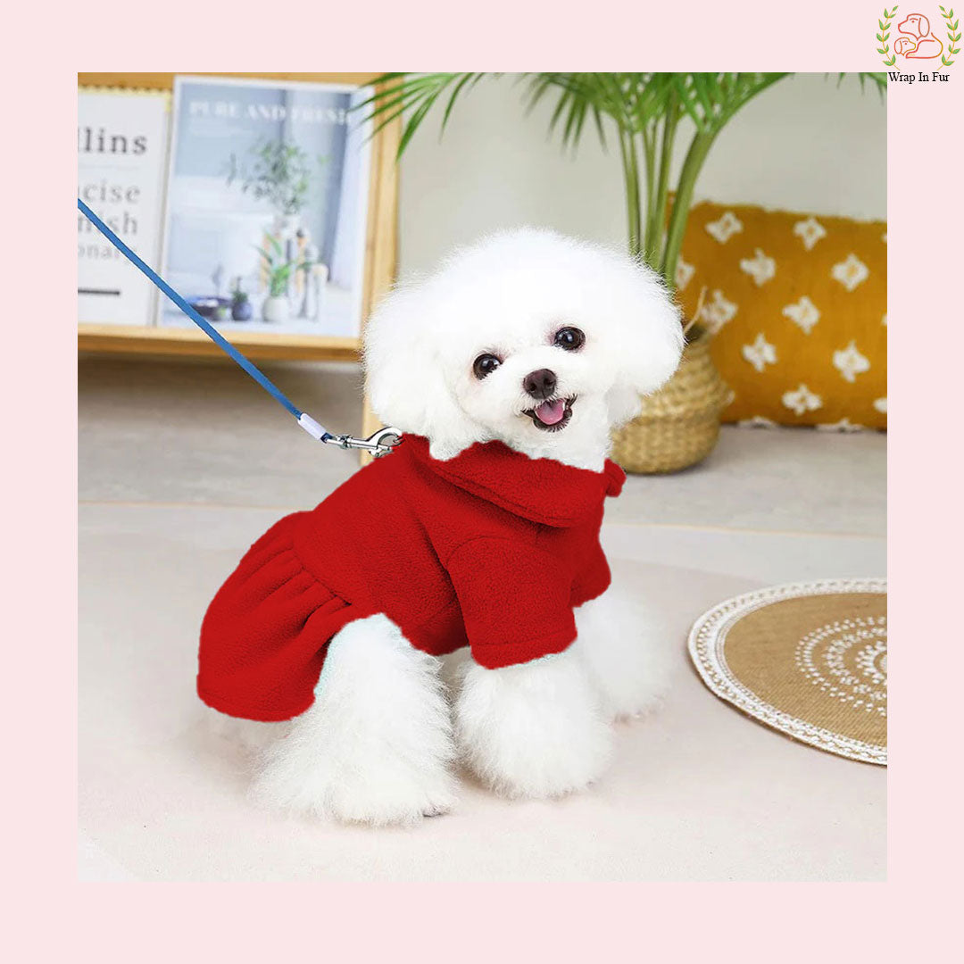 Royal Red Winter Dog Frock with Scarf – Premium Warm & Stylish Outfit
