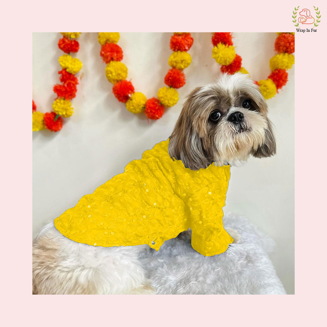 Royal Yellow Chikankari Dog Kurta Shirt - Premium Dog Ethnic Wear