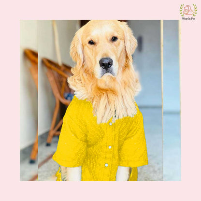 Royal Yellow Chikankari Dog Kurta Shirt - Premium Dog Ethnic Wear