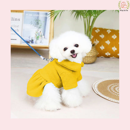 Royal Yellow Winter Dog Frock with Scarf – Premium Warm & Stylish Outfit