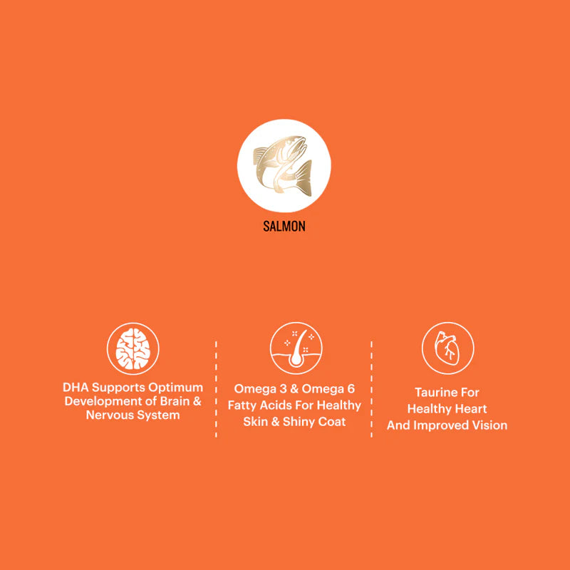 Salmon Lickable Treat for Cats & Kittens