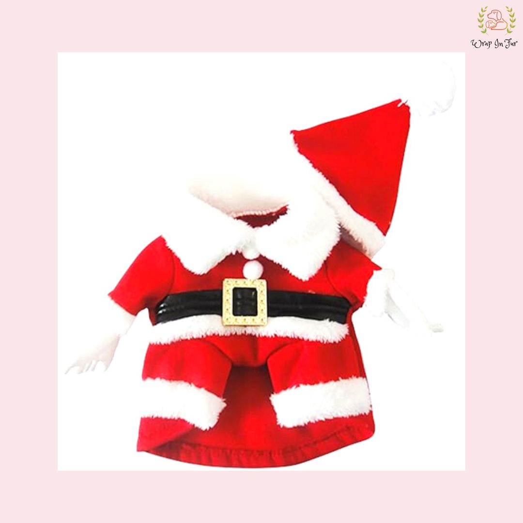 Santa Dog Costume – Cute & Festive Christmas Outfit for dogs
