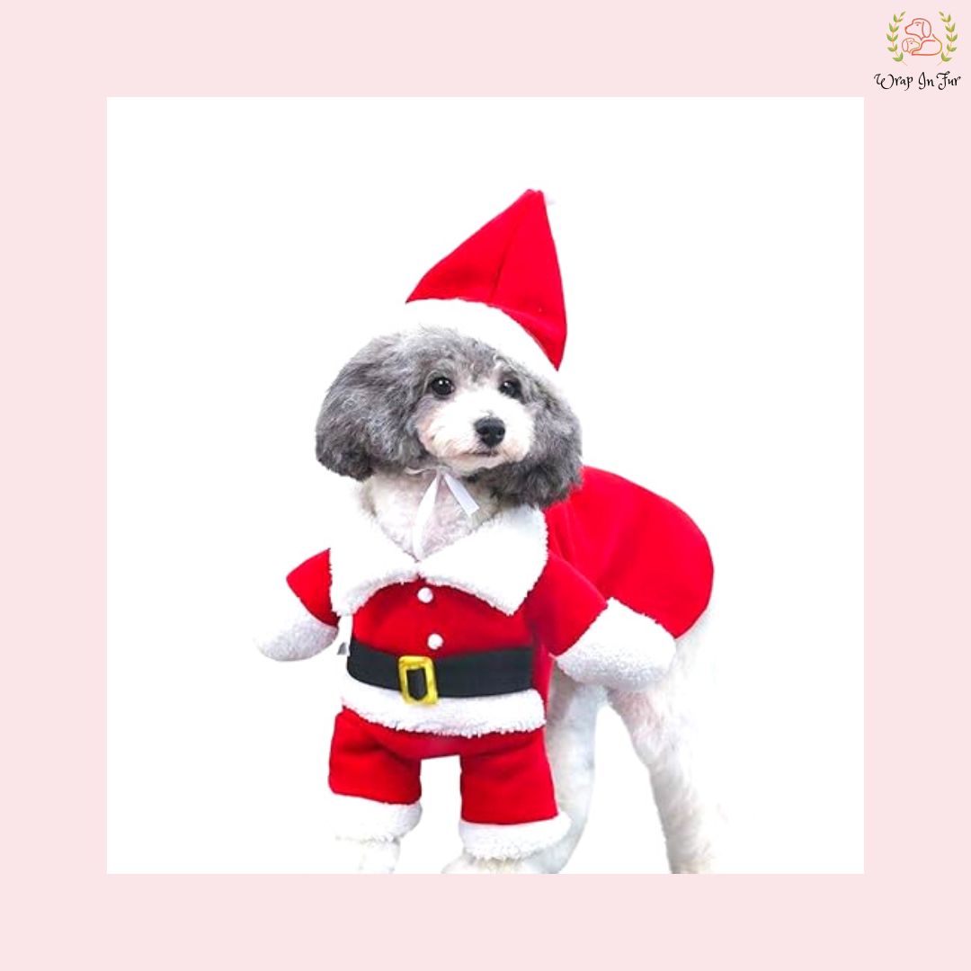 Santa Dog Costume – Cute & Festive Christmas Outfit for dogs