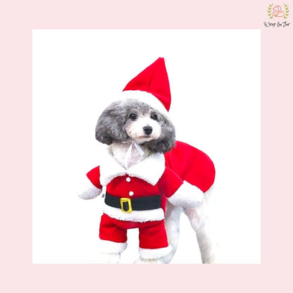 Santa Dog Costume – Cute & Festive Christmas Outfit for dogs
