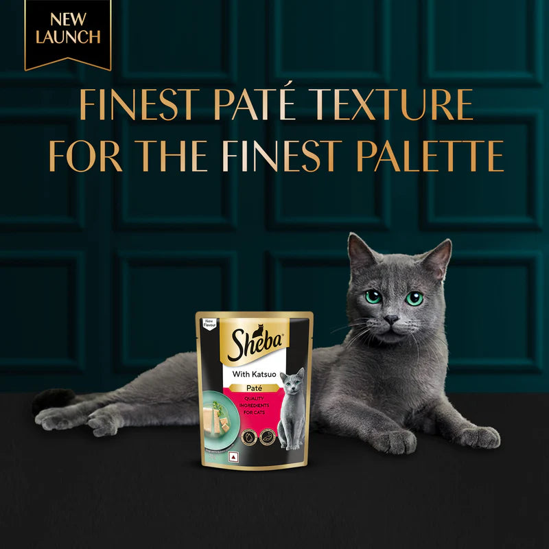 Sheba Katsuo Pate Wet Food For Adult Cat - 70 gm