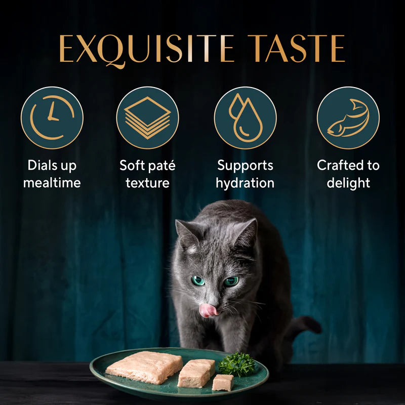 Sheba Katsuo Pate Wet Food For Adult Cat - 70 gm
