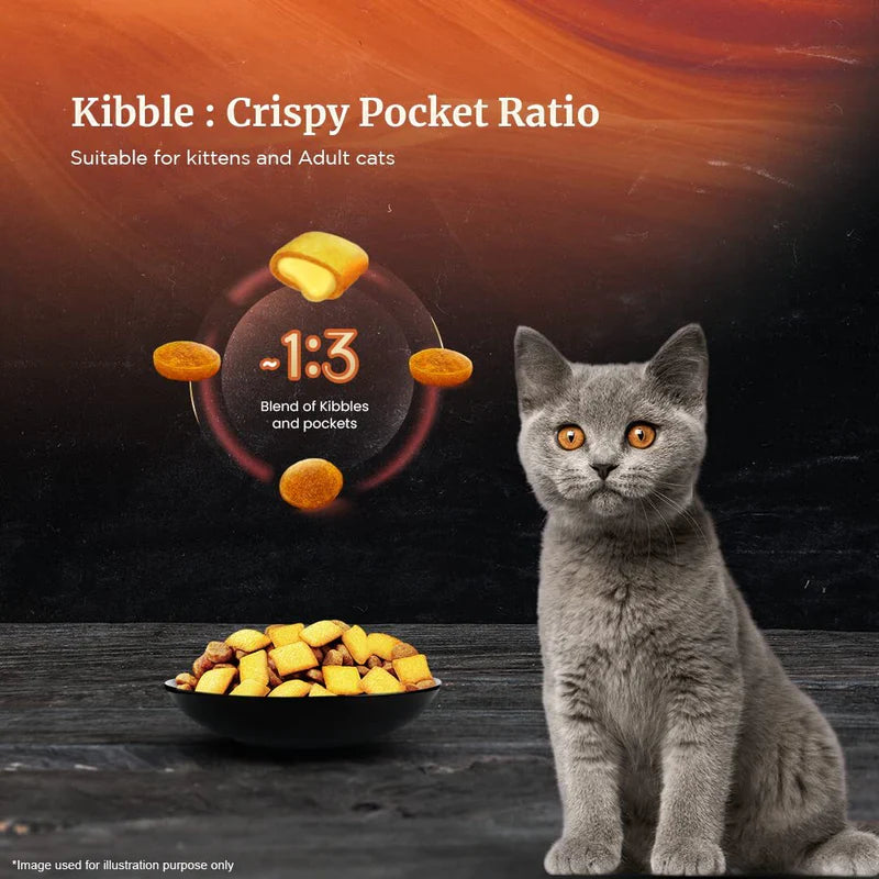 Sheba Chicken Flavour Dry Cat Food for Kittens & Adult Cats