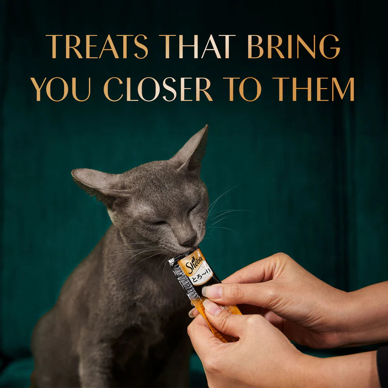 Sheba Melty Sasami Selection Creamy Cat Treats | Chicken & Chicken with Whitefish | 20 x 12g (240g)