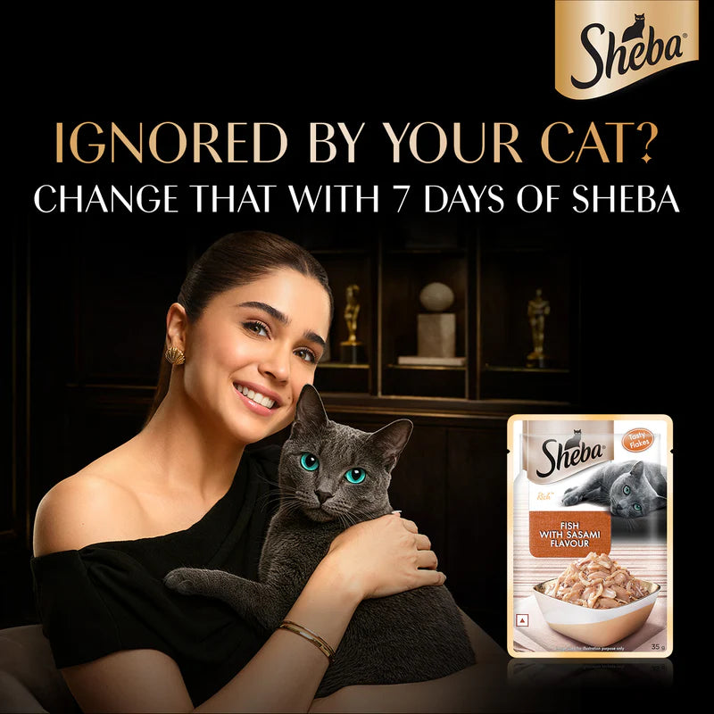 Sheba Fish with Sasami Flavour Wet Cat Food for Adult Cats (1+ Years) | Premium 35g Pouch