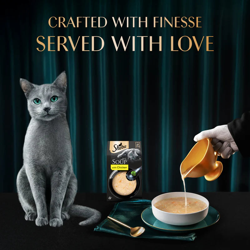 Sheba Soup with Chicken Wet Cat Food | 40g x 4 Pouches