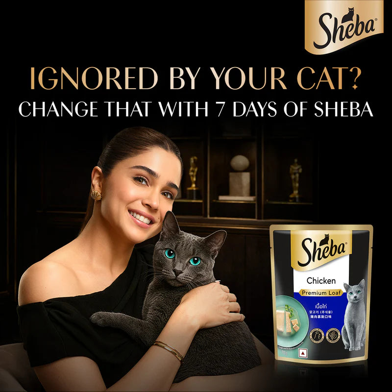 Sheba Premium Chicken Loaf Wet Cat Food for Adult Cats (1+ Years) | 70g