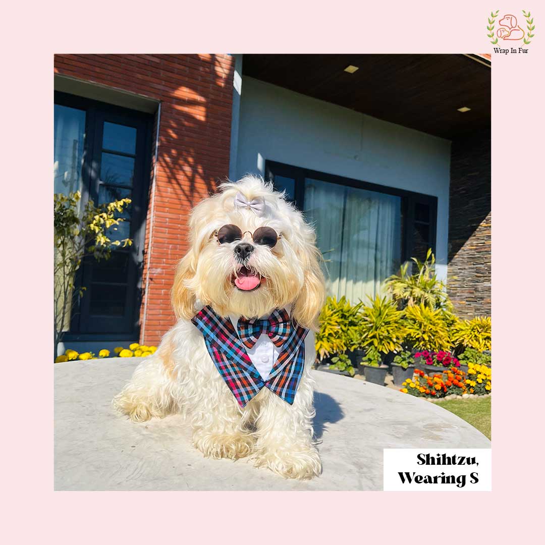 Shihtu dog pattern tuxedo bandana Online in India