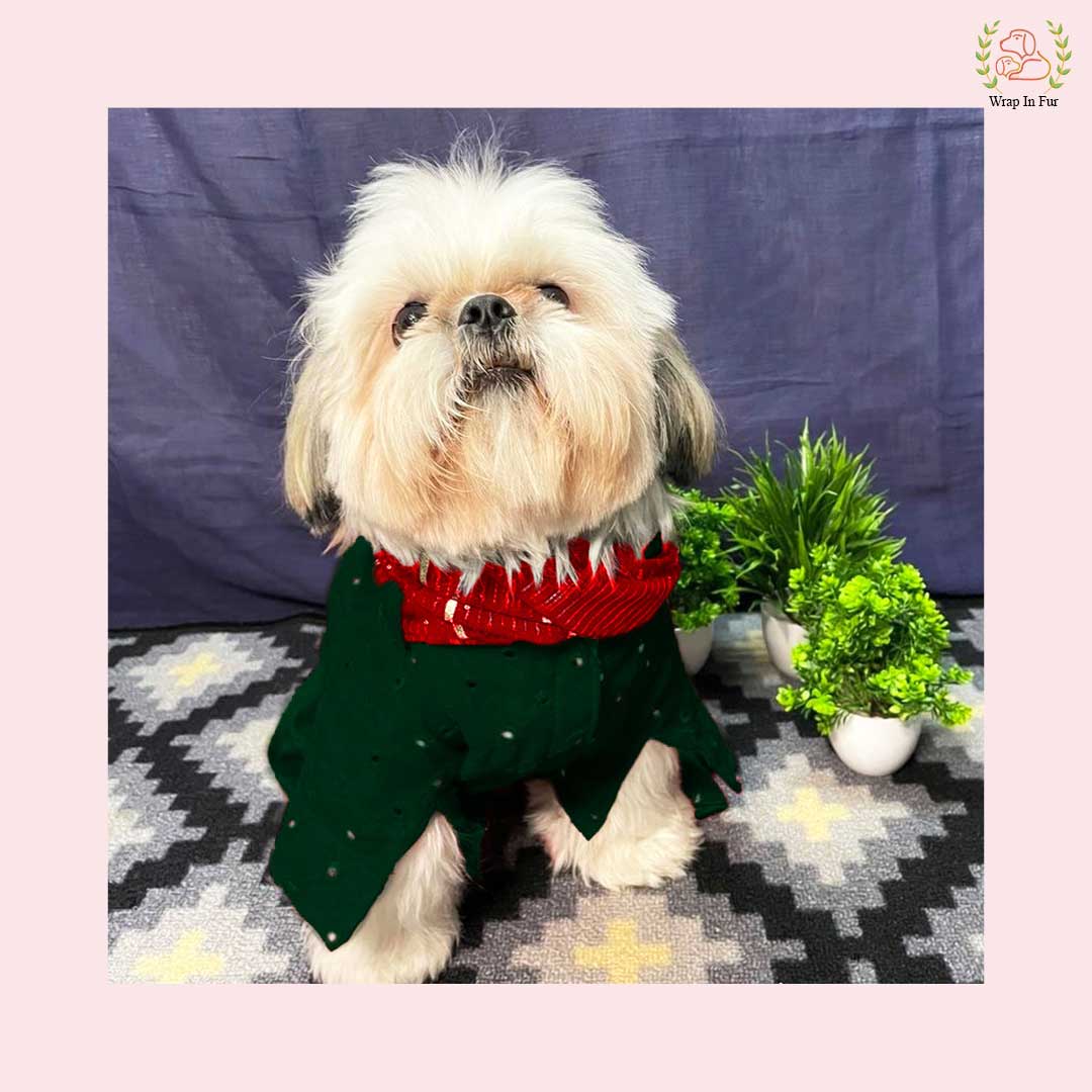 Shihtzu Dark Green Dog Kurta