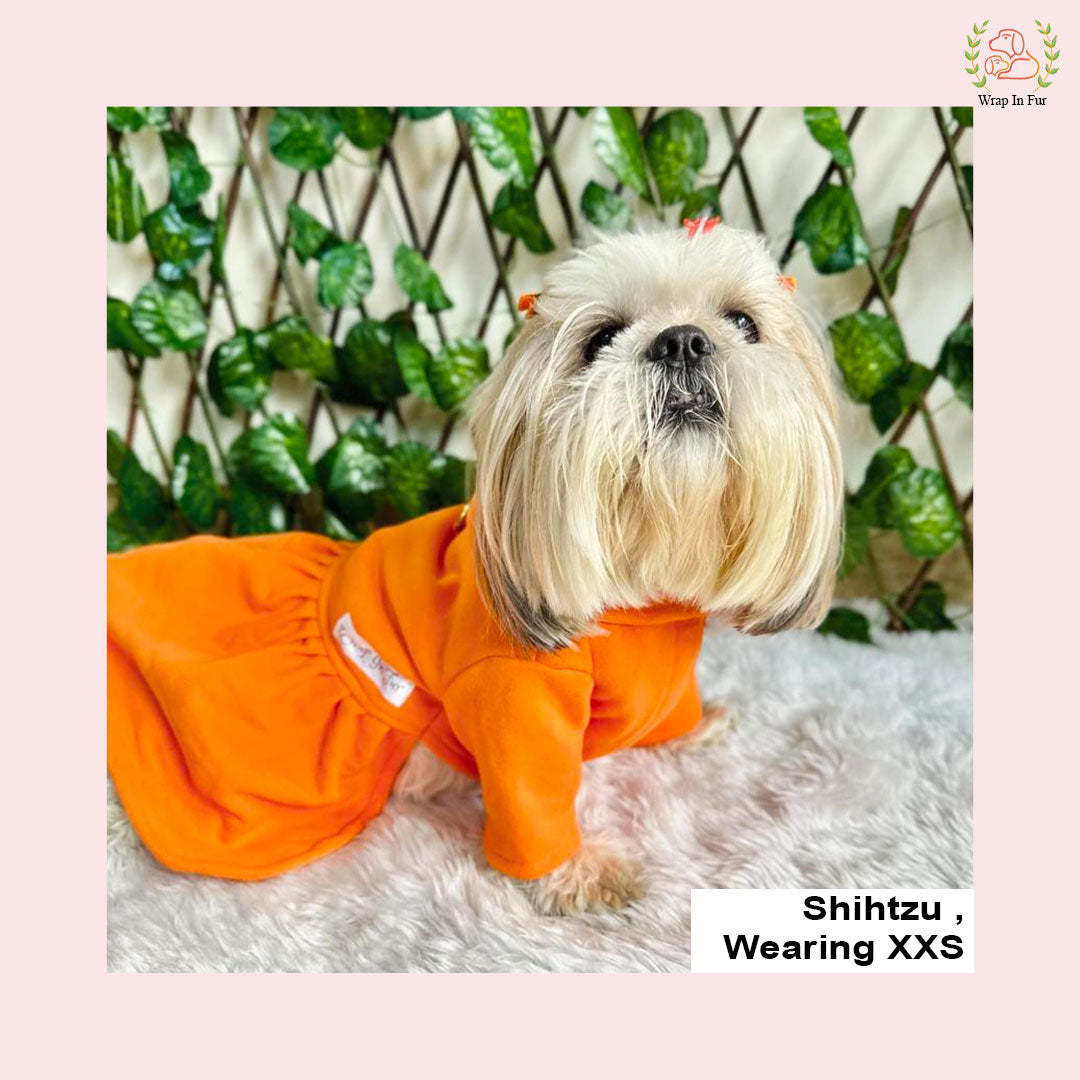 Shihtzu Orange winter dog frock
