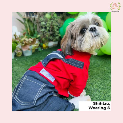 Red Cupid Dog Dress