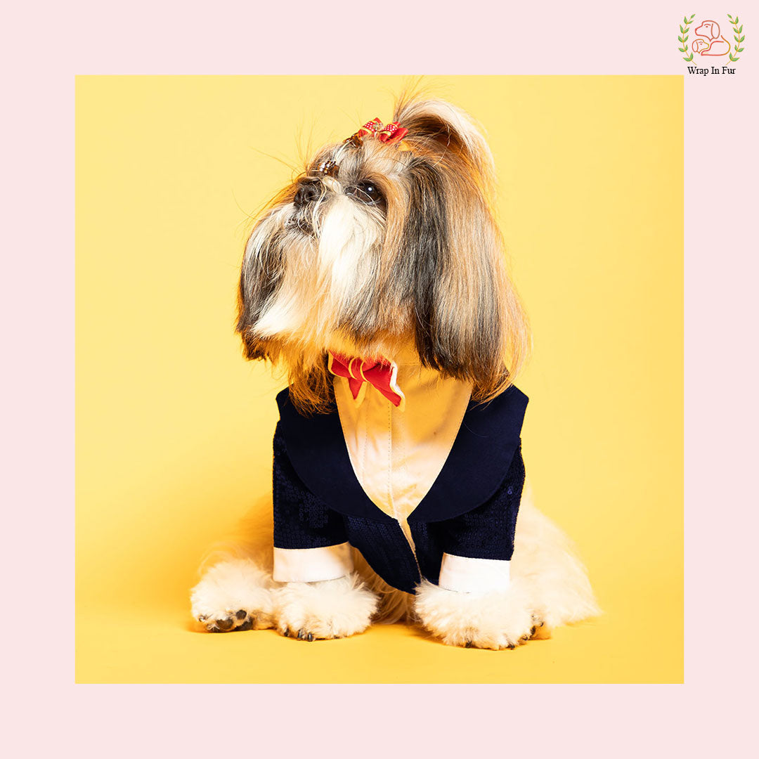 small dog birthday dress online