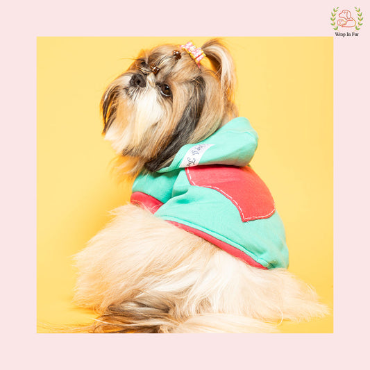 Shihtzu dog love sweatshirt for winter