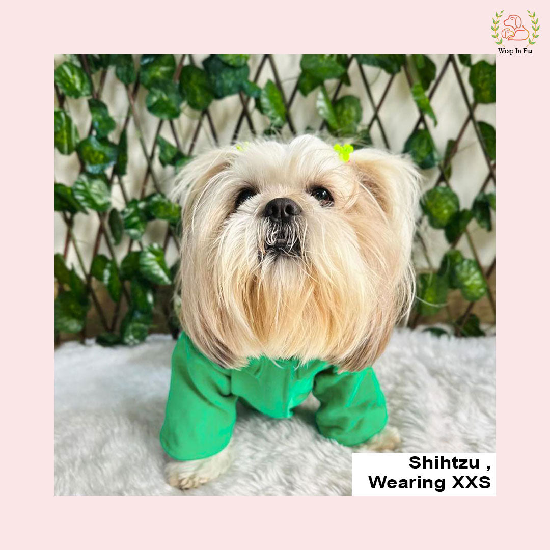 Shihtzu green winter dog frock