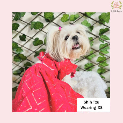 shihtzu pink dog lehenga