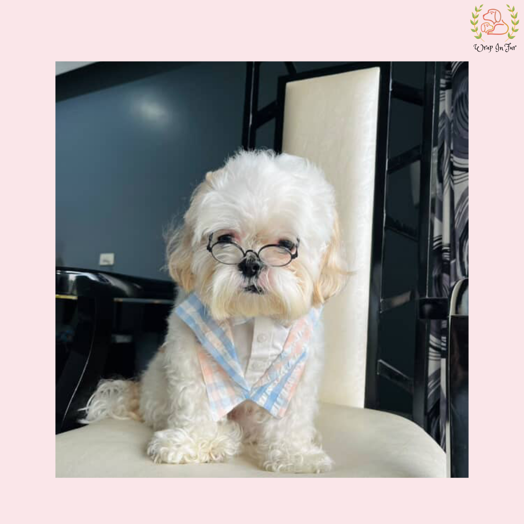 Gentle Barkman Tuxedo Dog Bandana