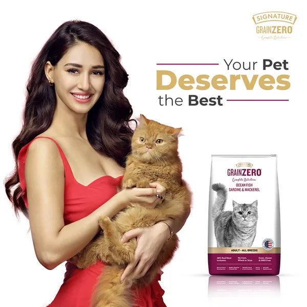 Signature Grain Zero Adult Dry Cat Food, Sardine and Mackerel