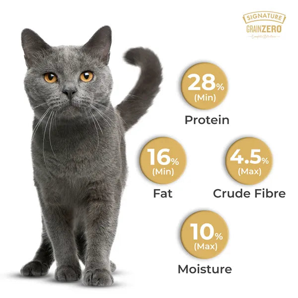 Signature Grain Zero Adult Dry Cat Food, Sardine and Mackerel