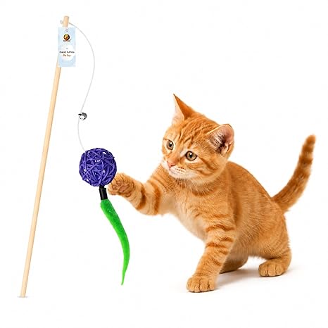 cat toys